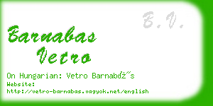 barnabas vetro business card